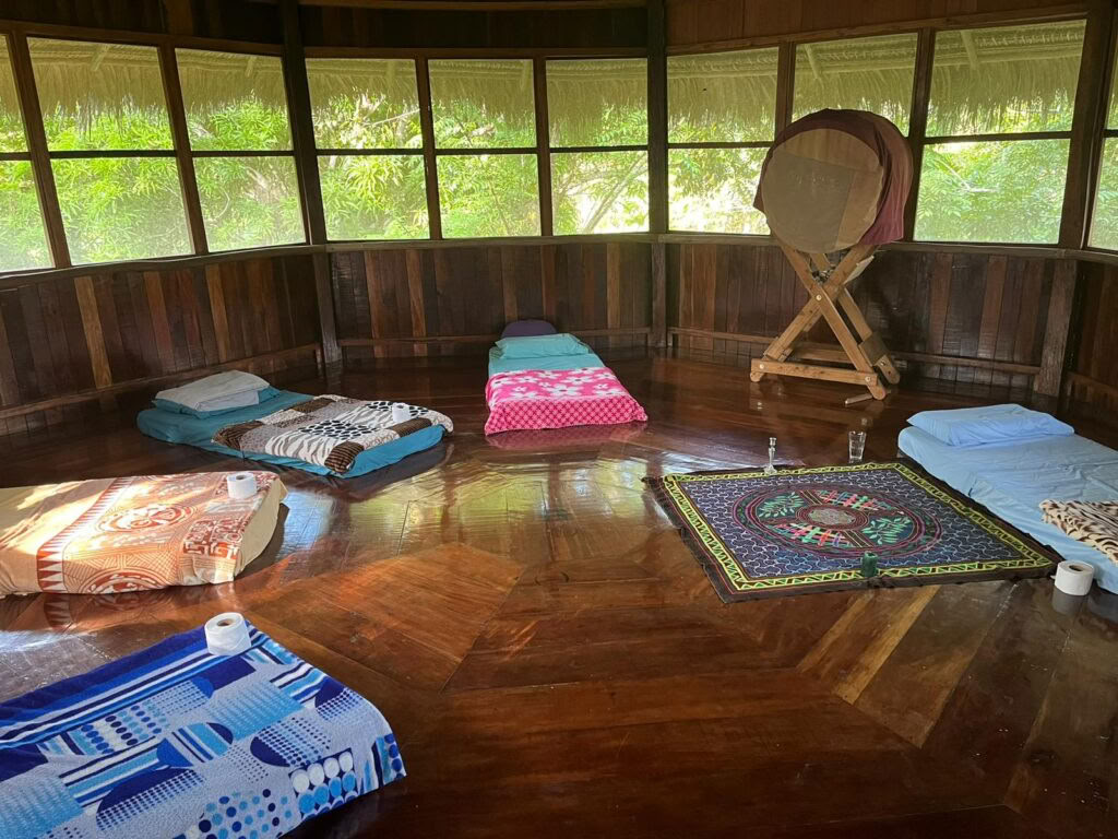 21-dagars ayahuascamaraton – 23 nov – 12 dec