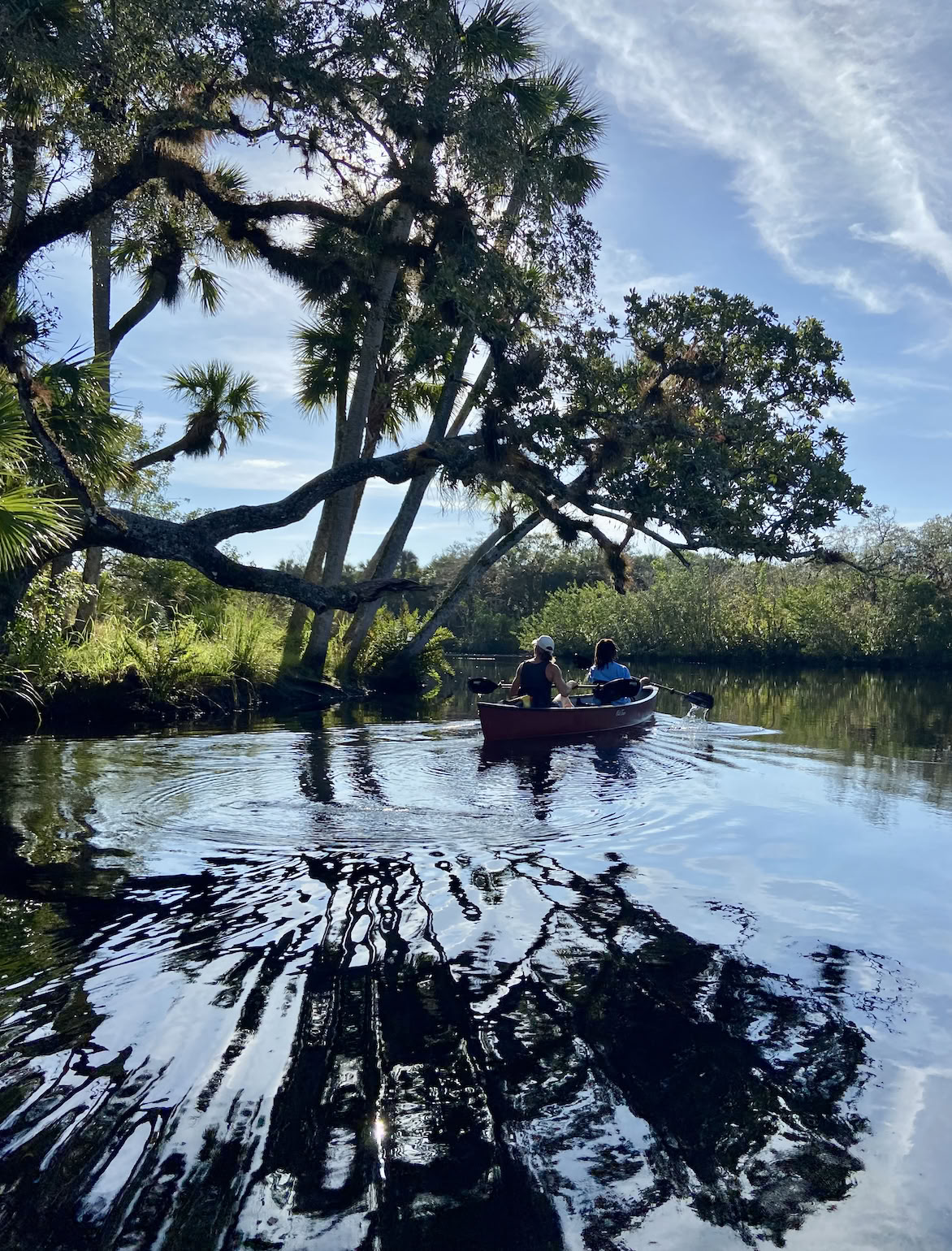 Vild familjevårretreat i Florida