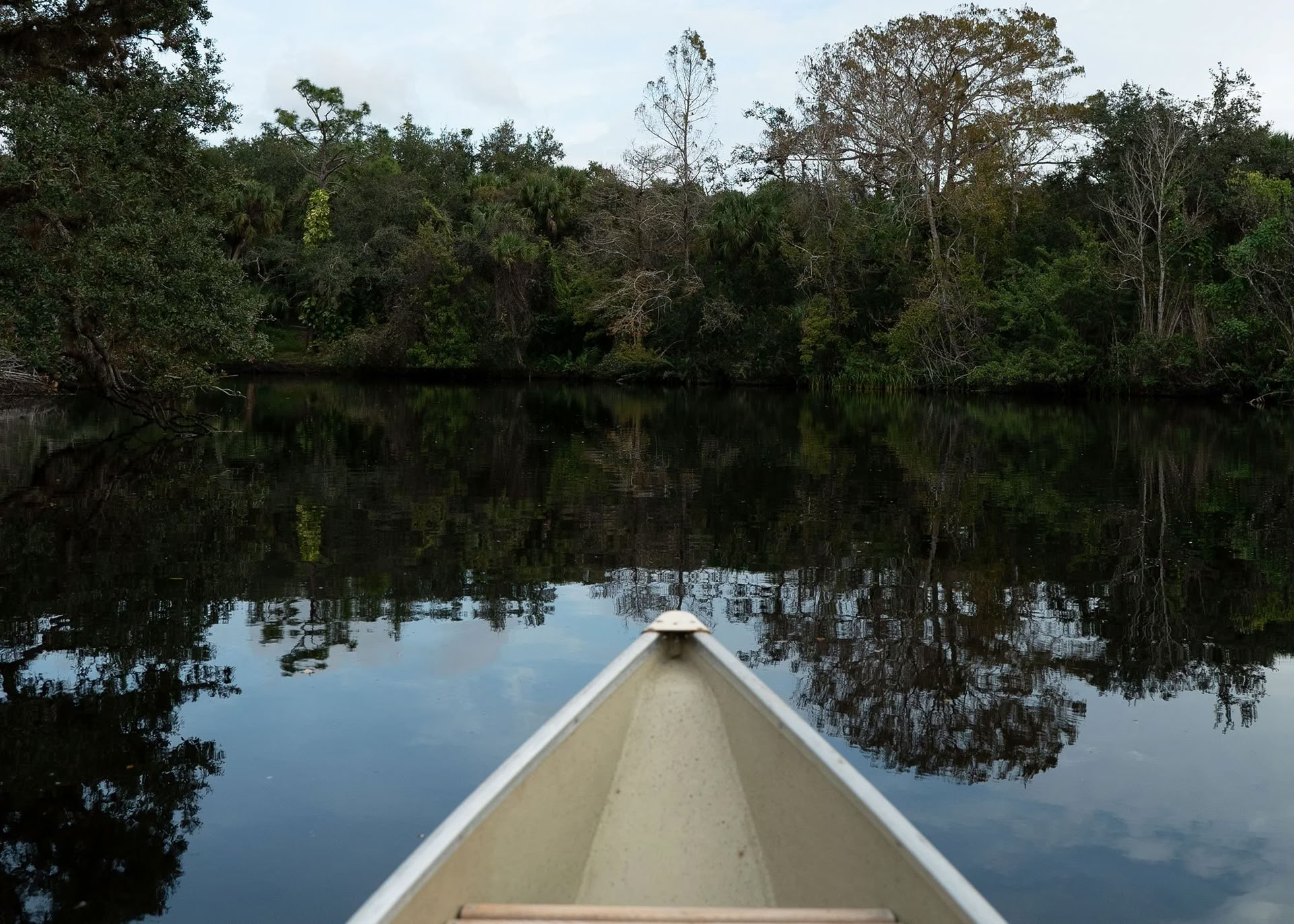Vild familjevårretreat i Florida