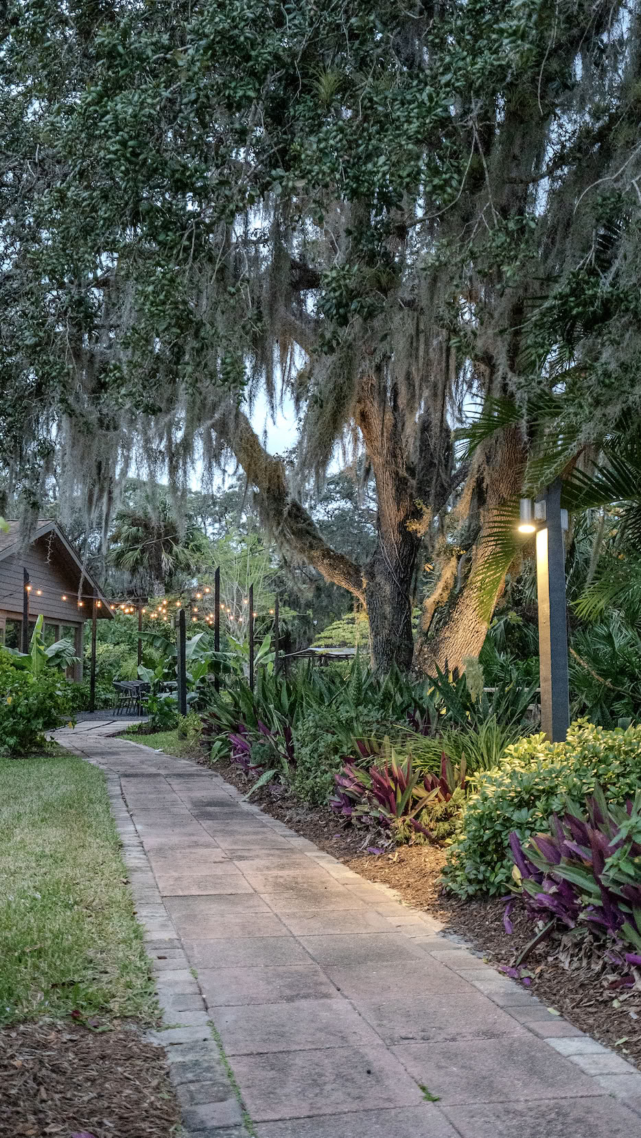 Vild familjevårretreat i Florida
