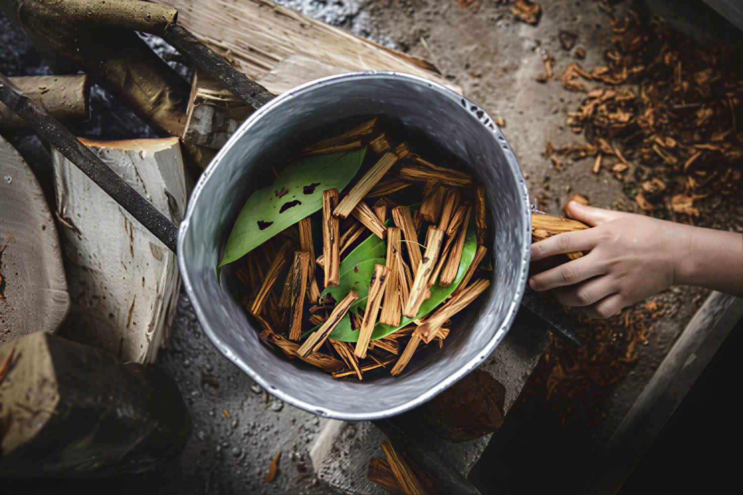 Ayahuasca-retreat i Peru med uråldriga ceremonier (5 dagar)