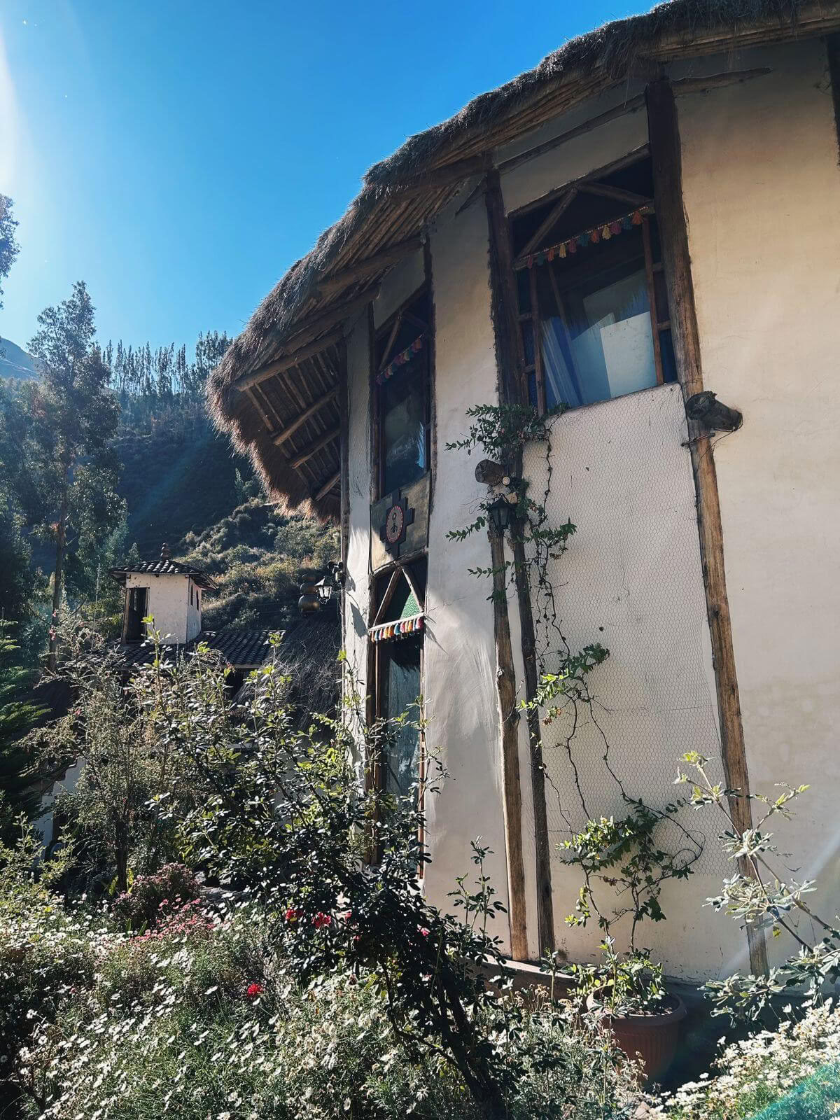 Privat ayahuasca-retreat med andinska ritualer (3 dagar) ayahuasca-ceremoni-retreat med andinska ritualer (privat, 3 dagar) 2 ayahuasca-sessioner