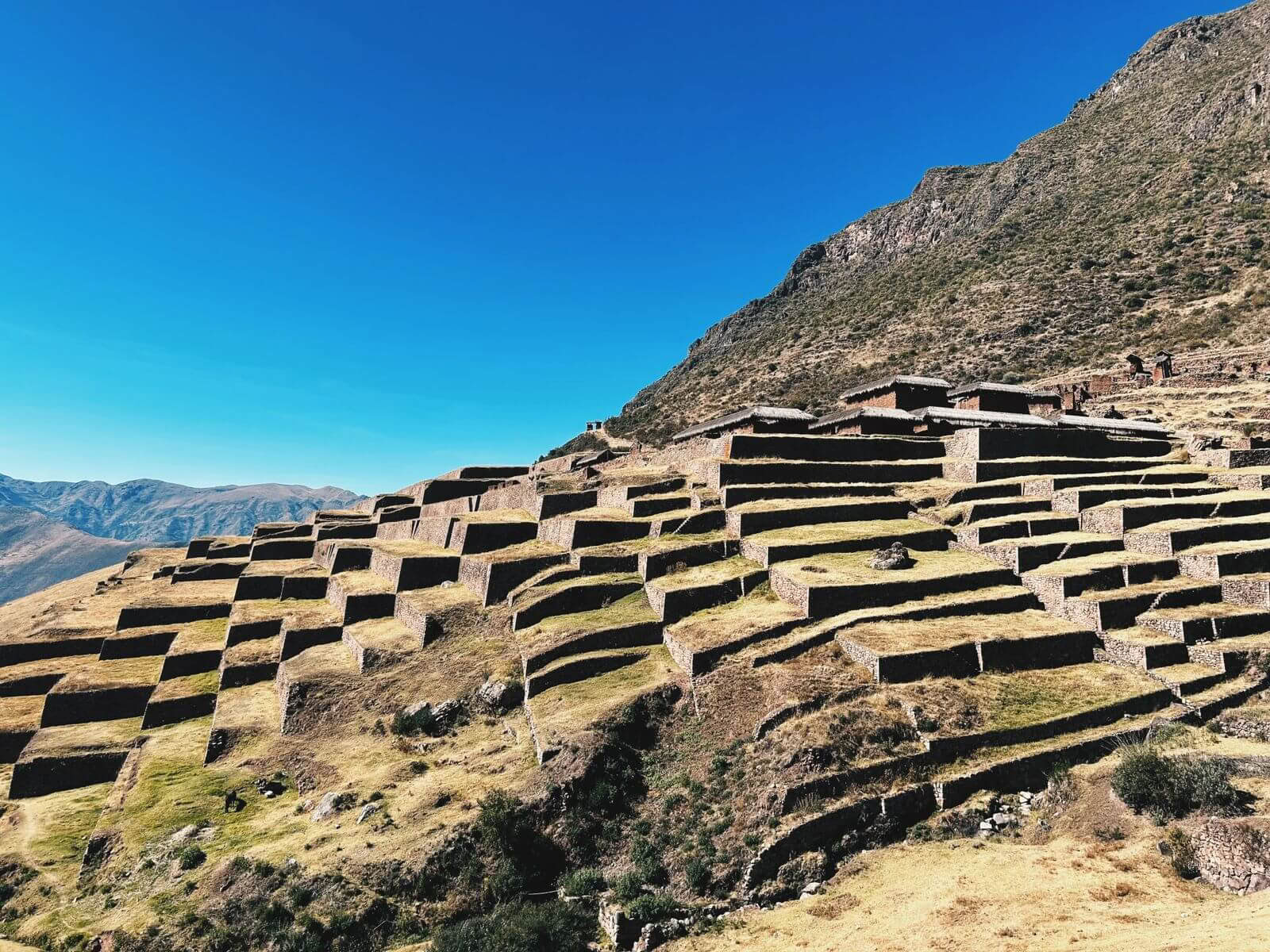 Machu Picchu med tåg: heldags medveten rundtur