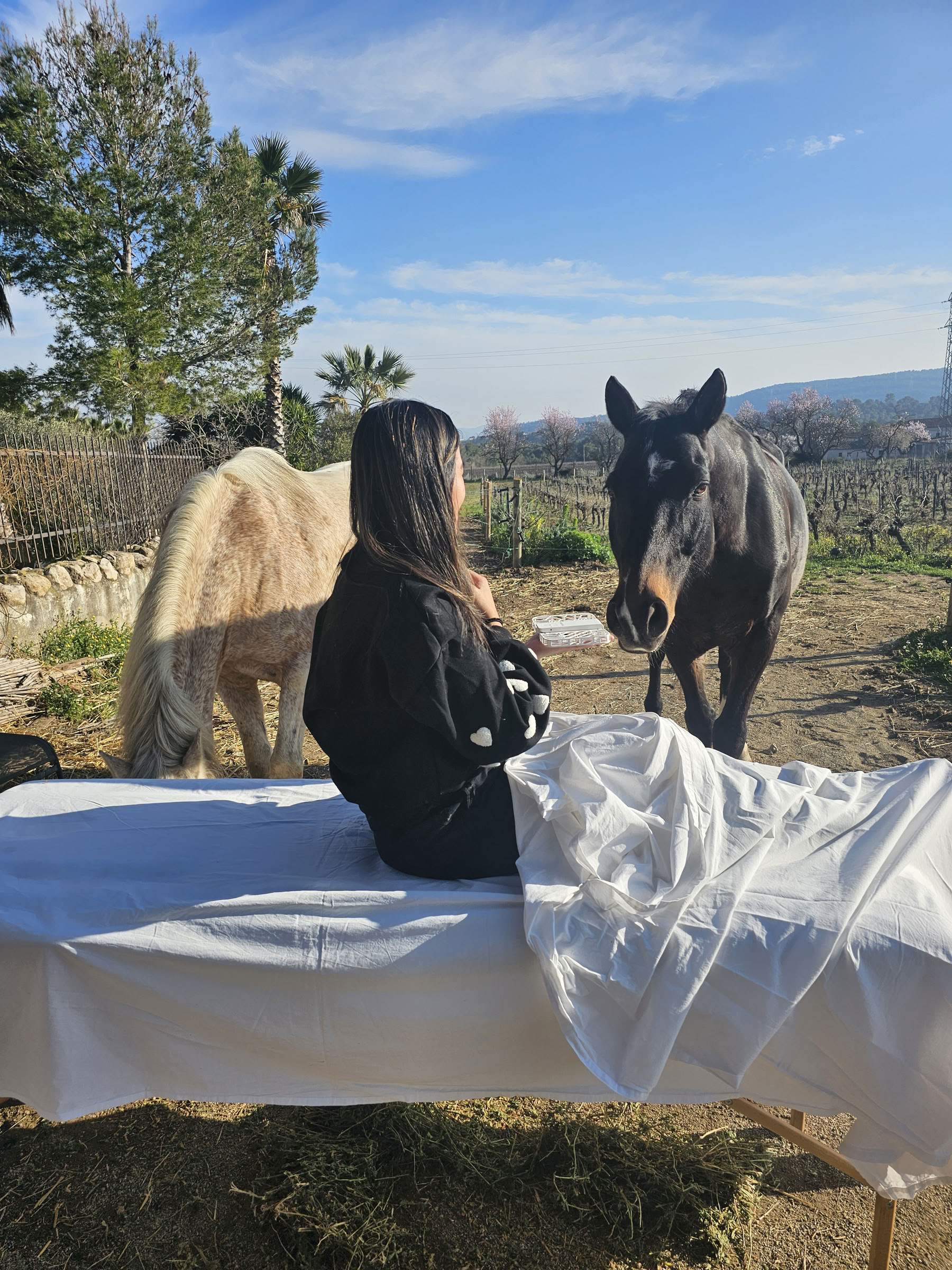 Yoga och läkning med hästar: 5-dagarsretreat
