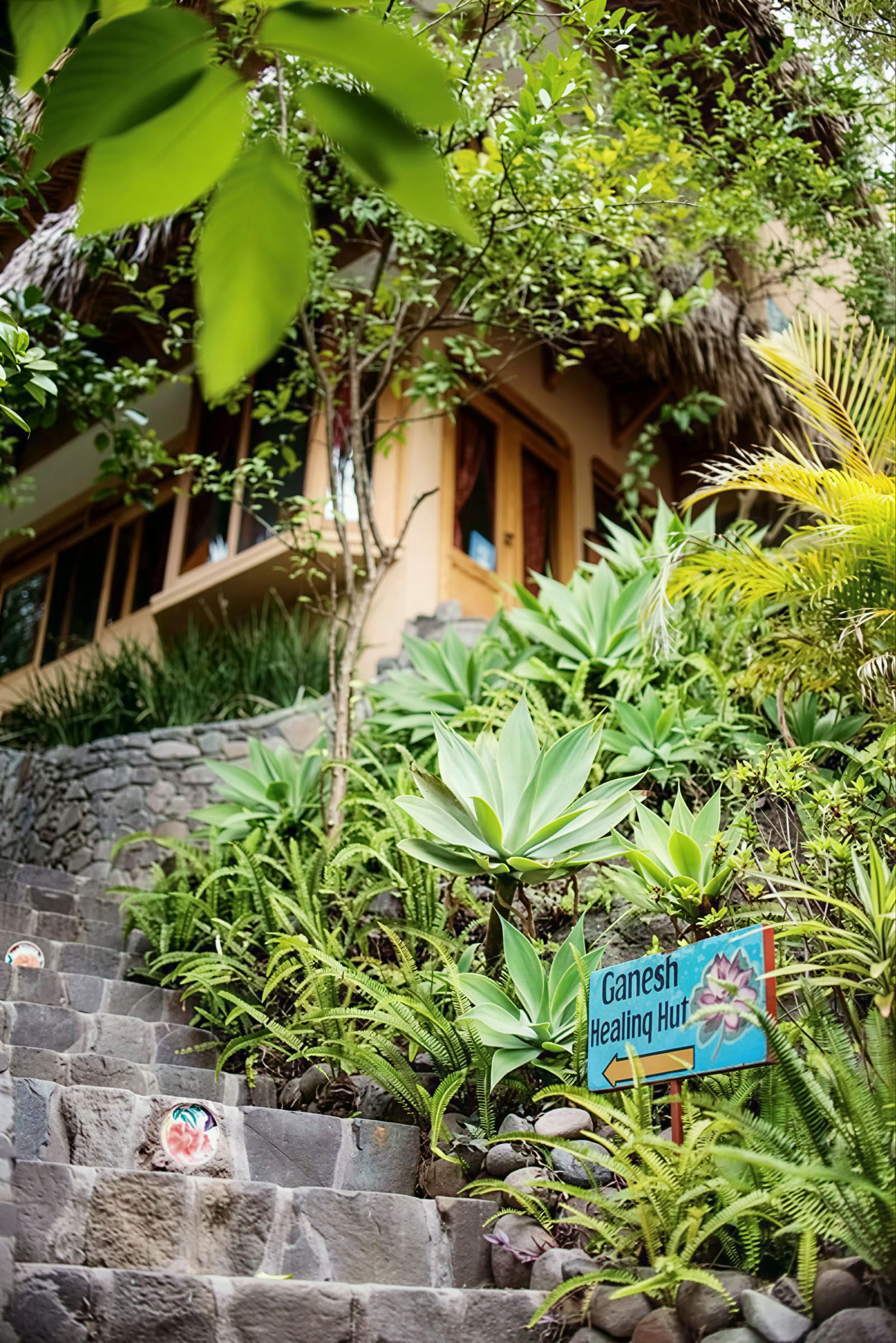 6-dagars yogaretreat i Guatemala – 1–6 september 2026 med Michelle Fajkus
