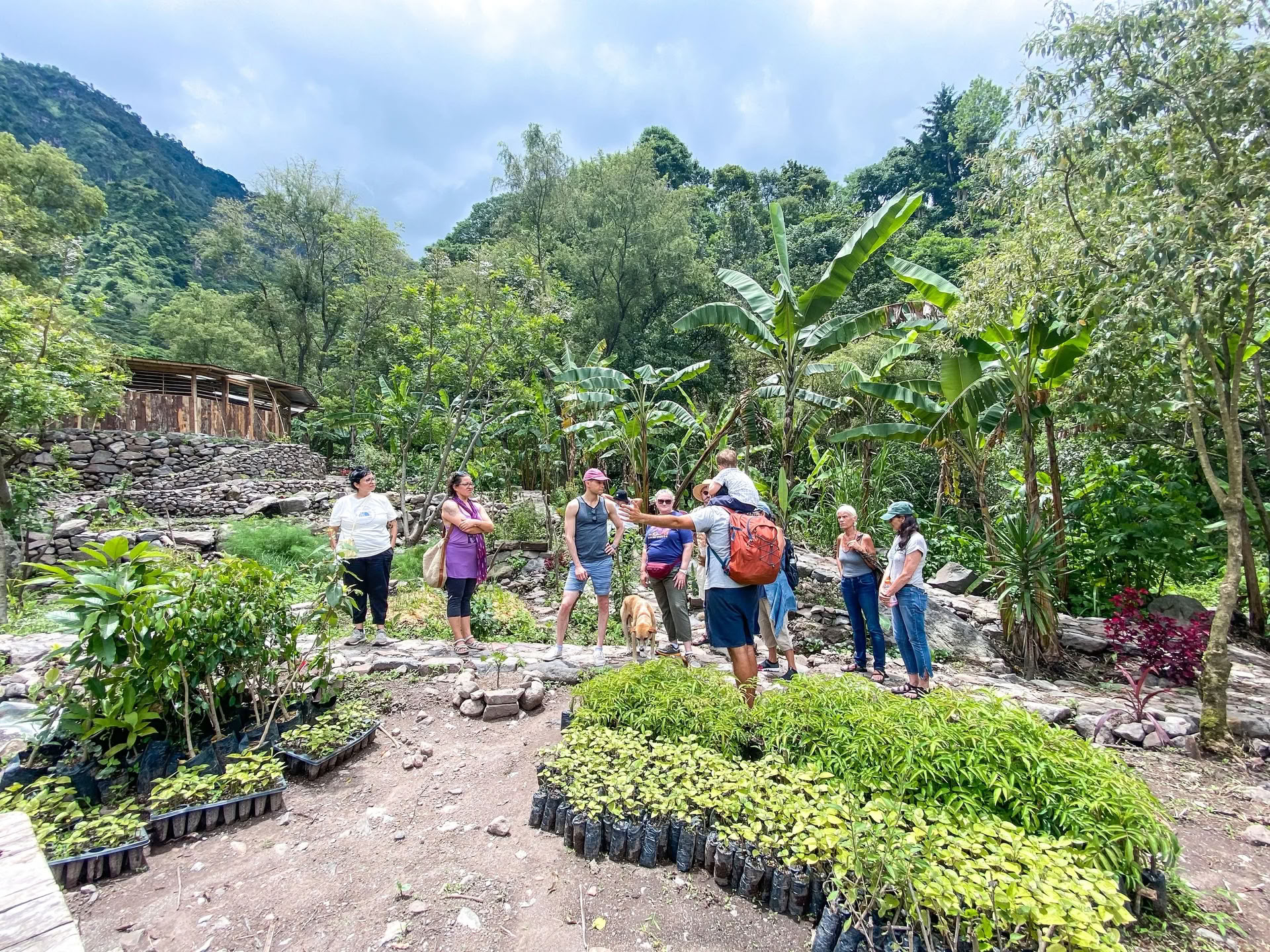 6-dagars yogaretreat i Guatemala – 1–6 september 2026 med Michelle Fajkus