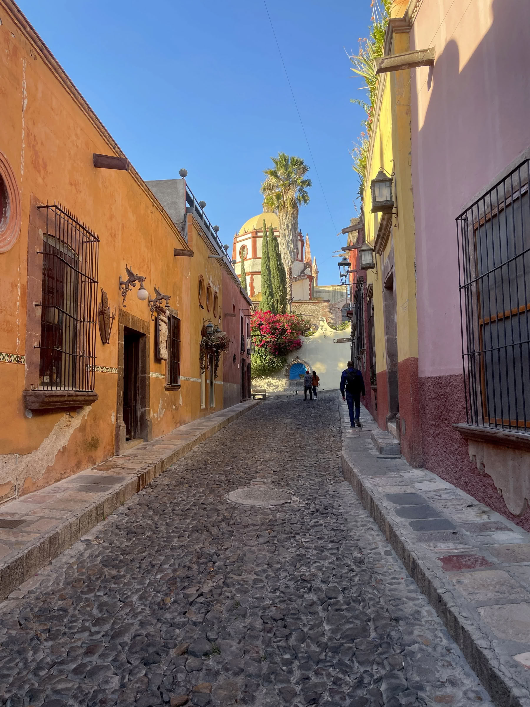 6-dagarsretreat i Mexiko