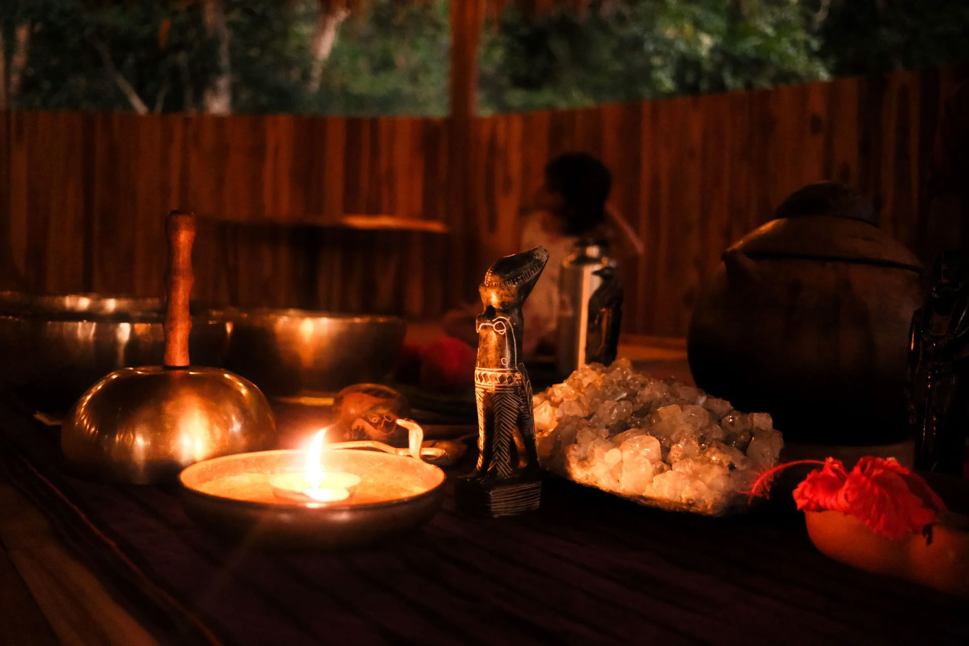 Koya Raymi 7 dagars ayahuasca-immersion vid höstdagjämningen | Medarrangerat av Ananda