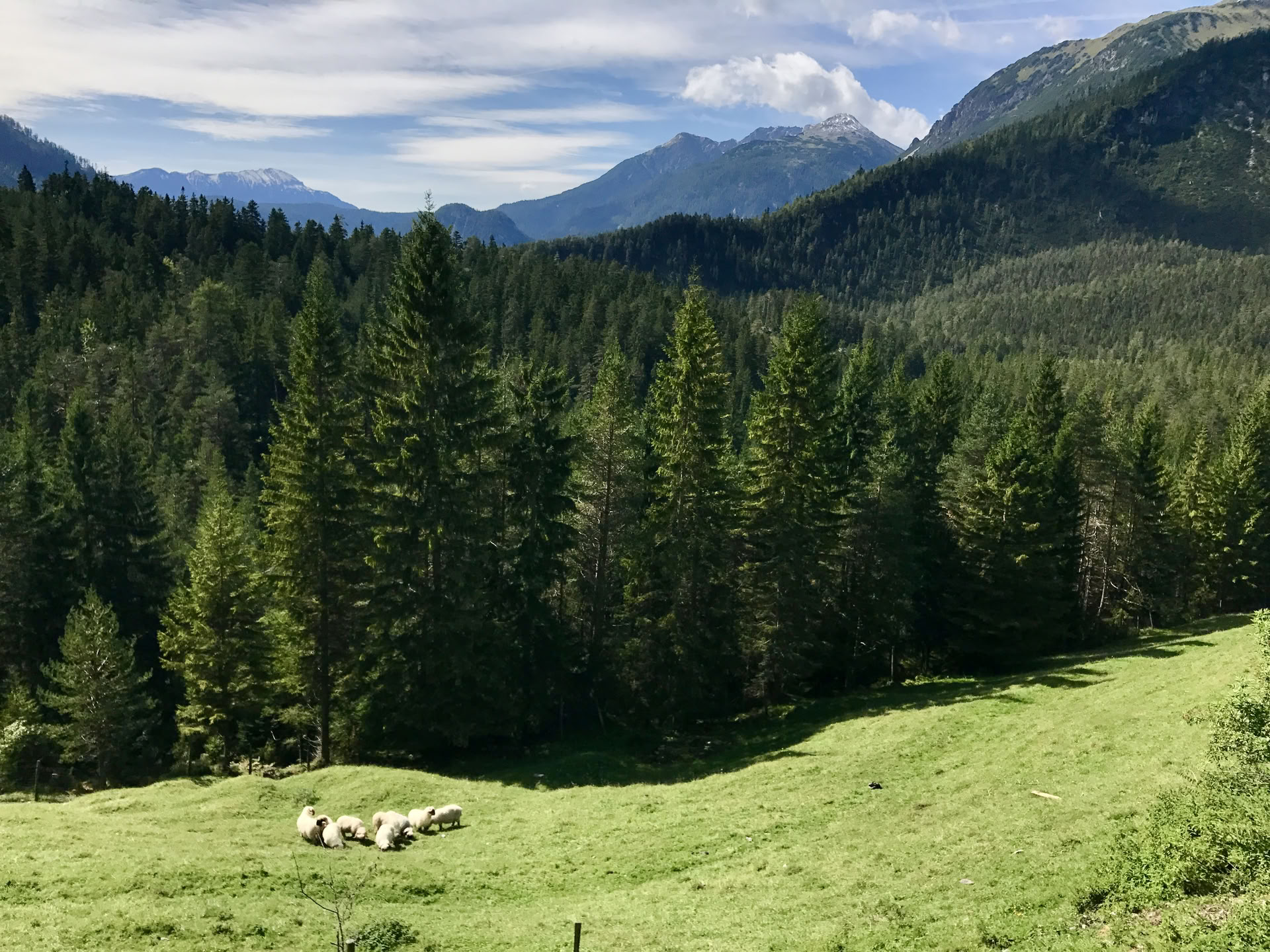 Älskad yoga