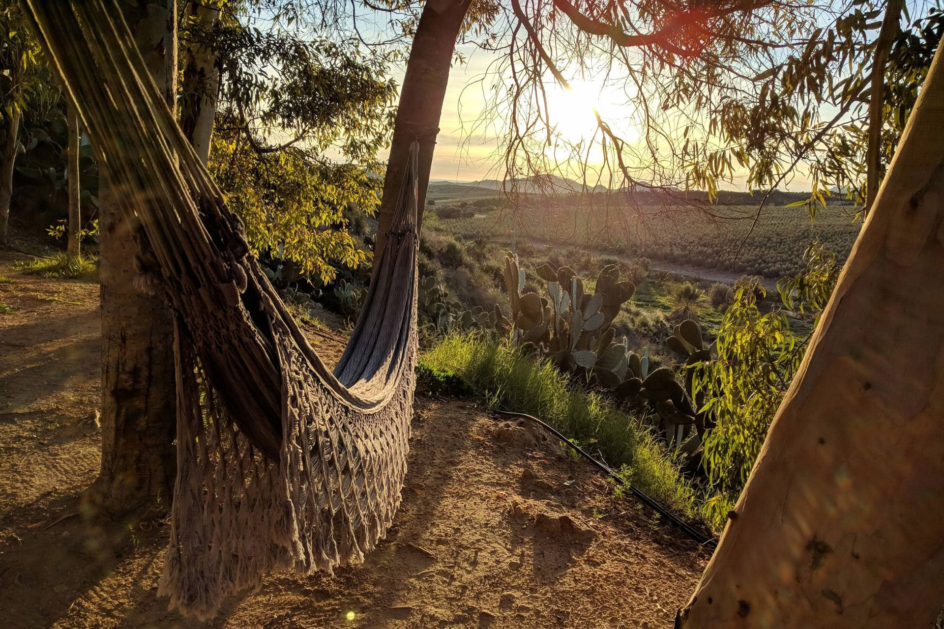 Dharma-retreat – 21–25 oktober 2026 – Spanien
