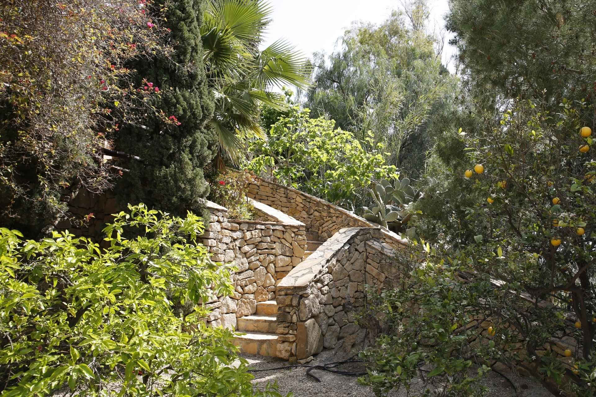 Terapeuternas retreat – 21–25 oktober 2026 – Spanien