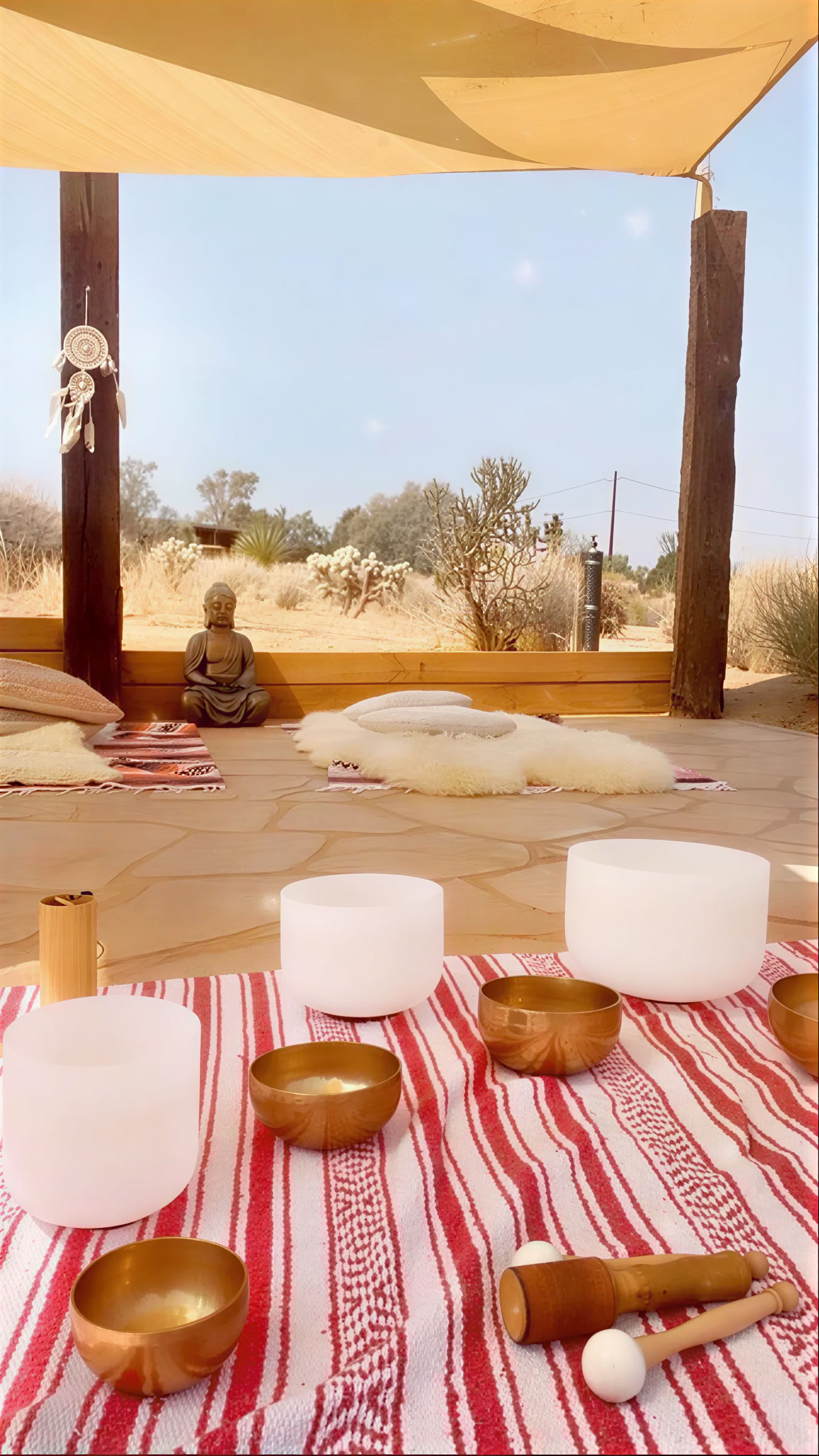 En dags retreat i öknen med Om i Joshua Tree
