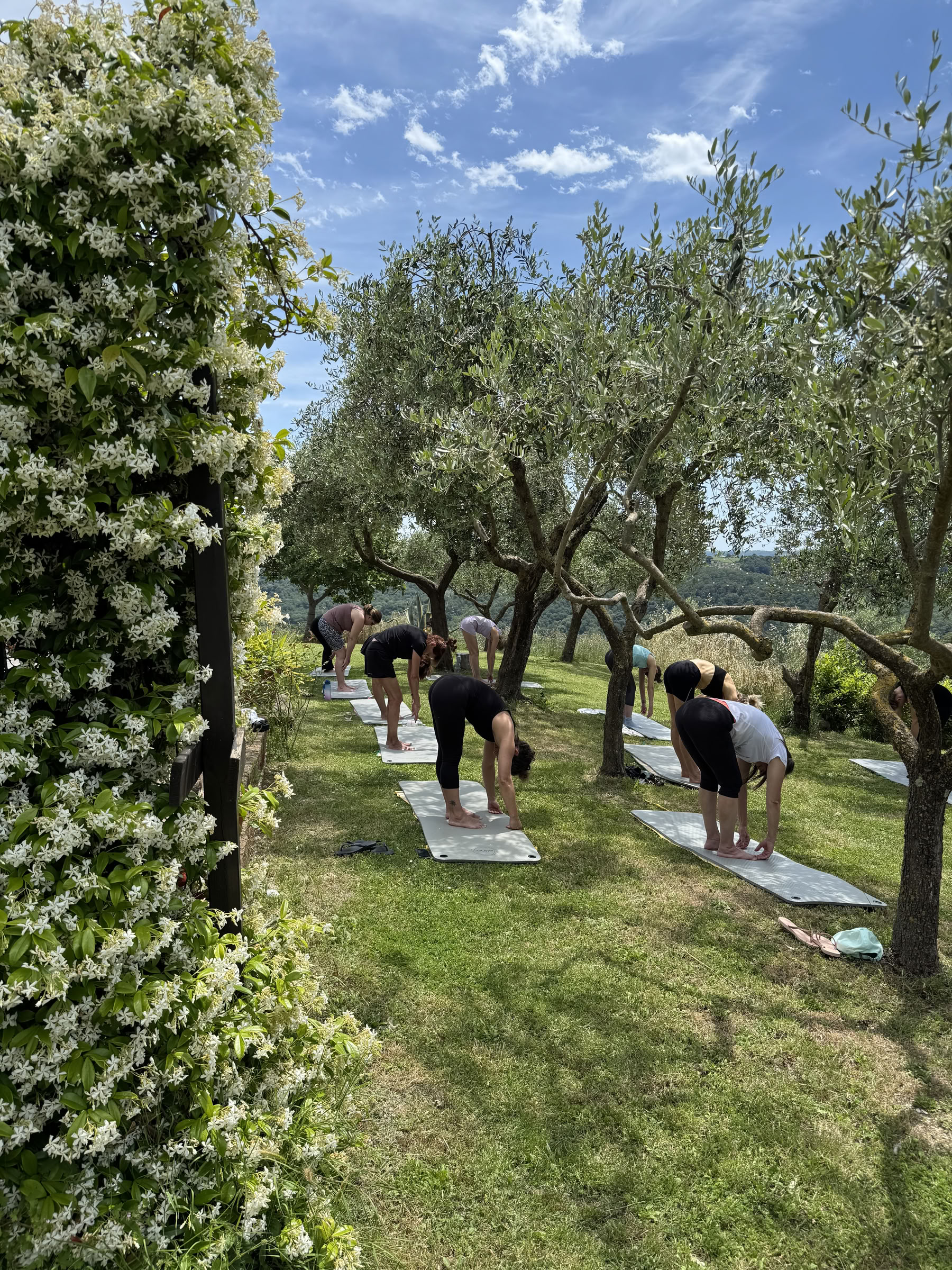 Att Skapa Harmoni | Retreat för Kropp och Sinne