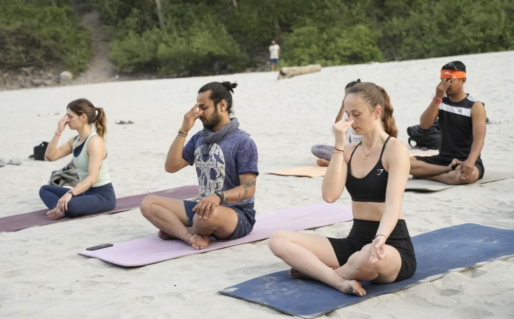 100-timmars yoga TTC i Rishikesh