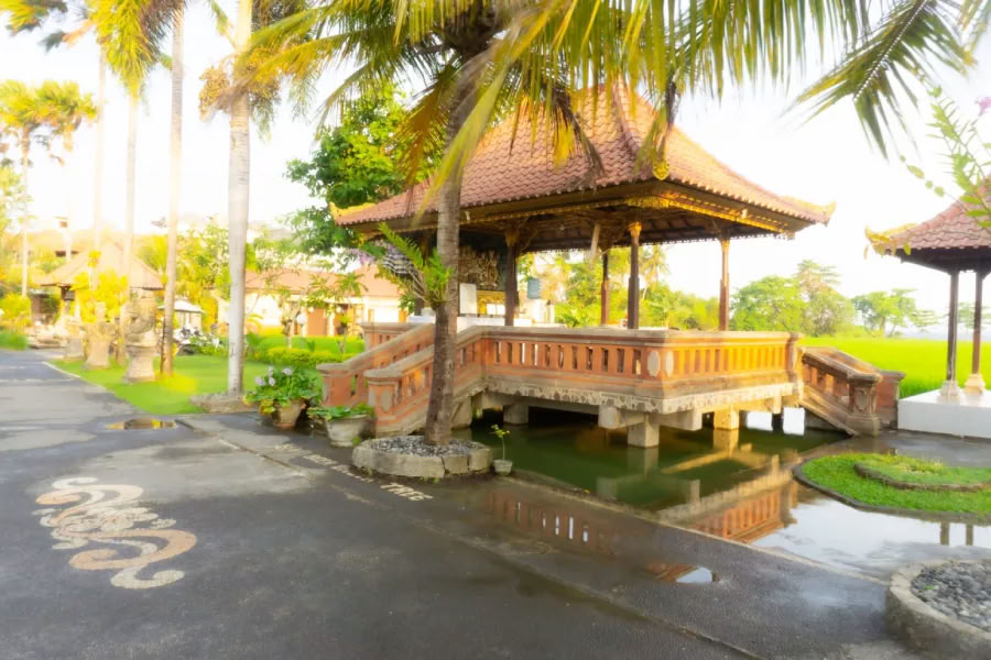 200-timmars yogalärarutbildning på Bali