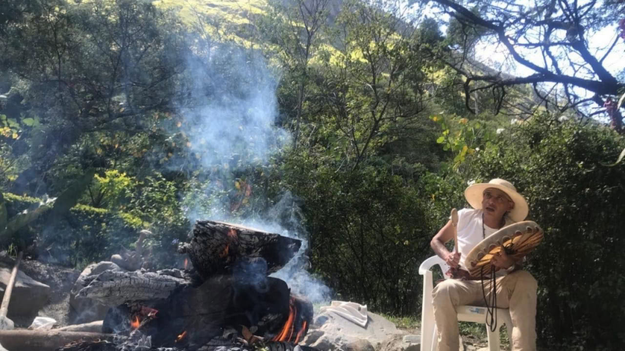8-dagars ayahuasca- och San Pedro-retreat i Ecuador | Växtmedicinsk retreat