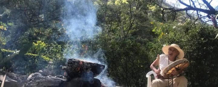 8-dagars ayahuasca- och San Pedro-retreat i Ecuador | Växtmedicinsk retreat