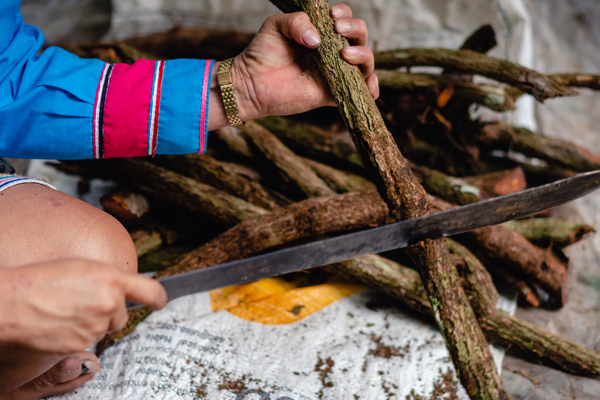 Ayahuasca augusti 2026 förnyelseretreat (12 dagar)