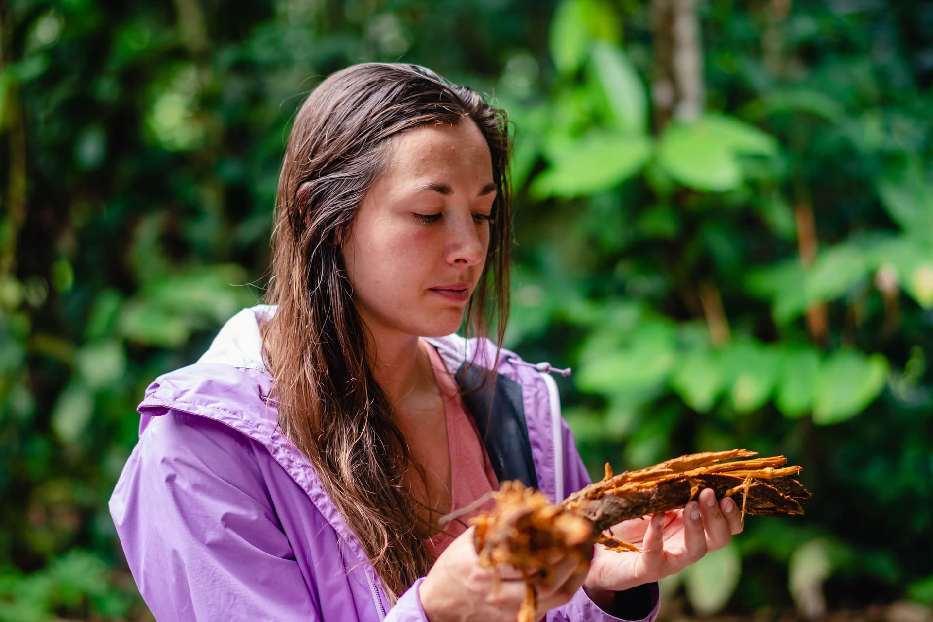 Ayahuasca augusti 2026 förnyelseretreat (12 dagar)