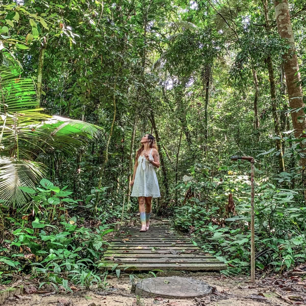 Ayahuasca-transformationsretreat i oktober 2026 (8 dagar)