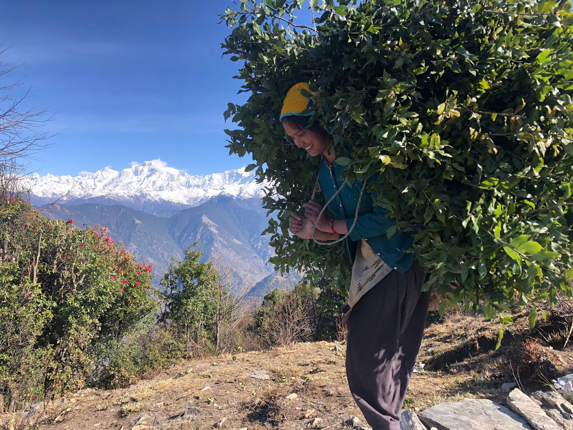 Chopta Tungnath-leden