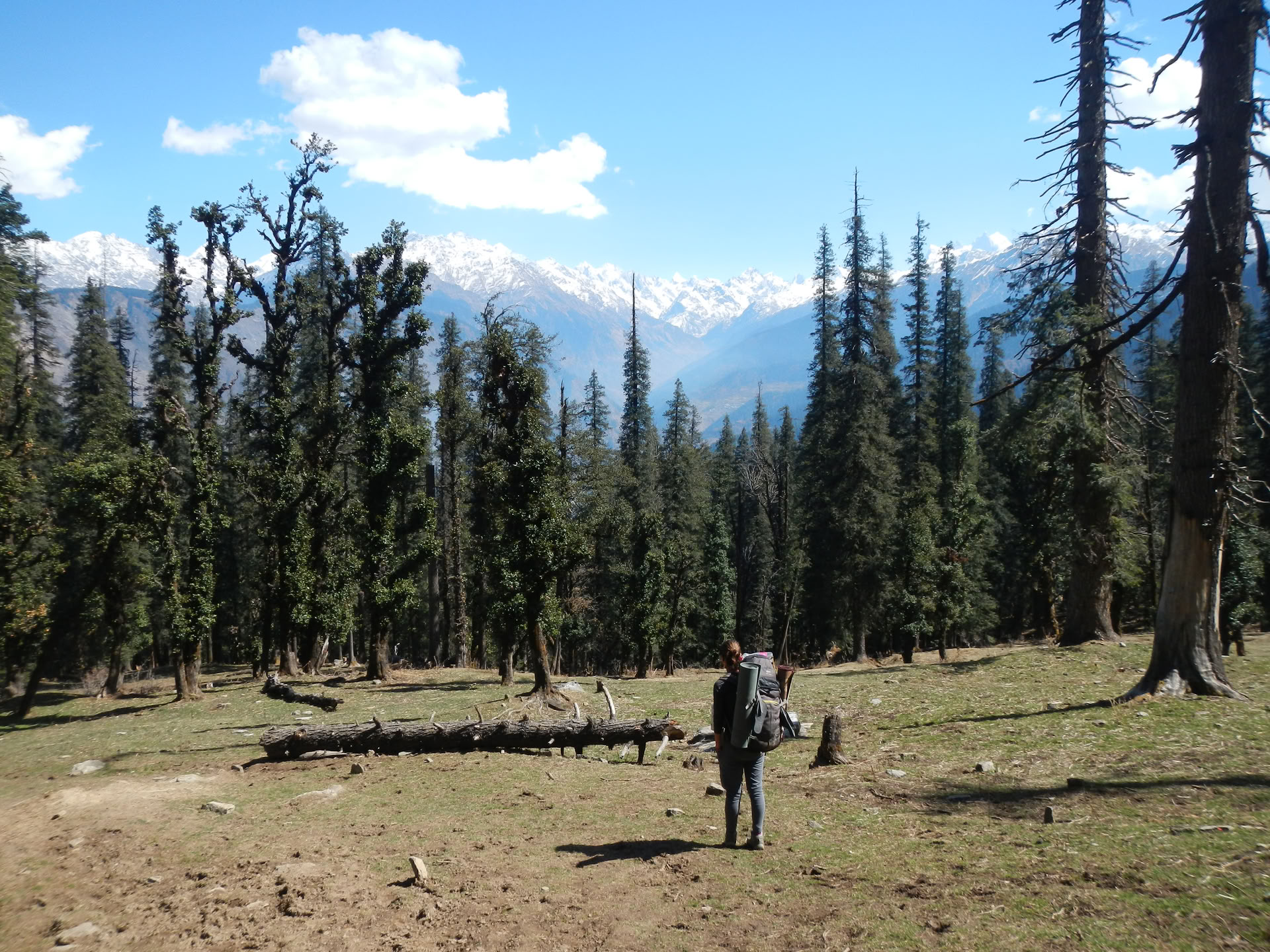 Kedarkantha-trekking
