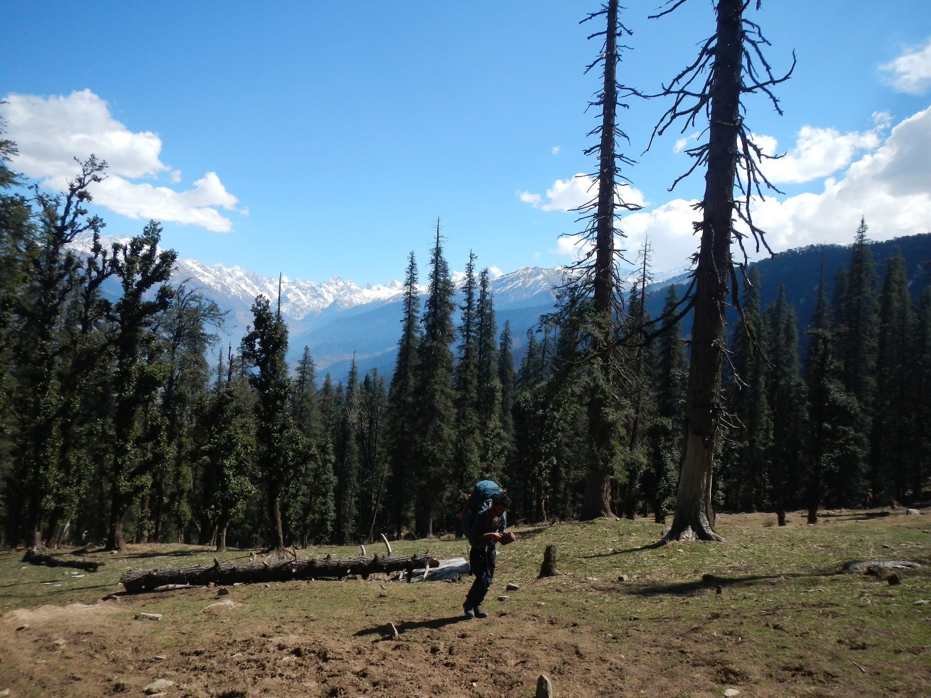 Kedarkantha-trekking