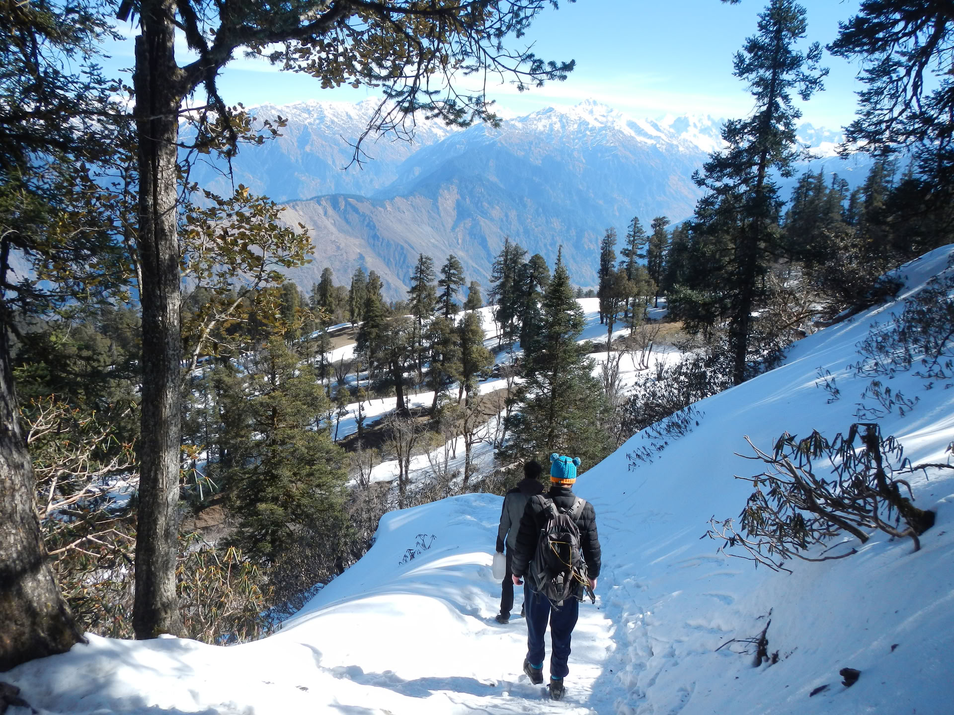 Kedarkantha-trekking
