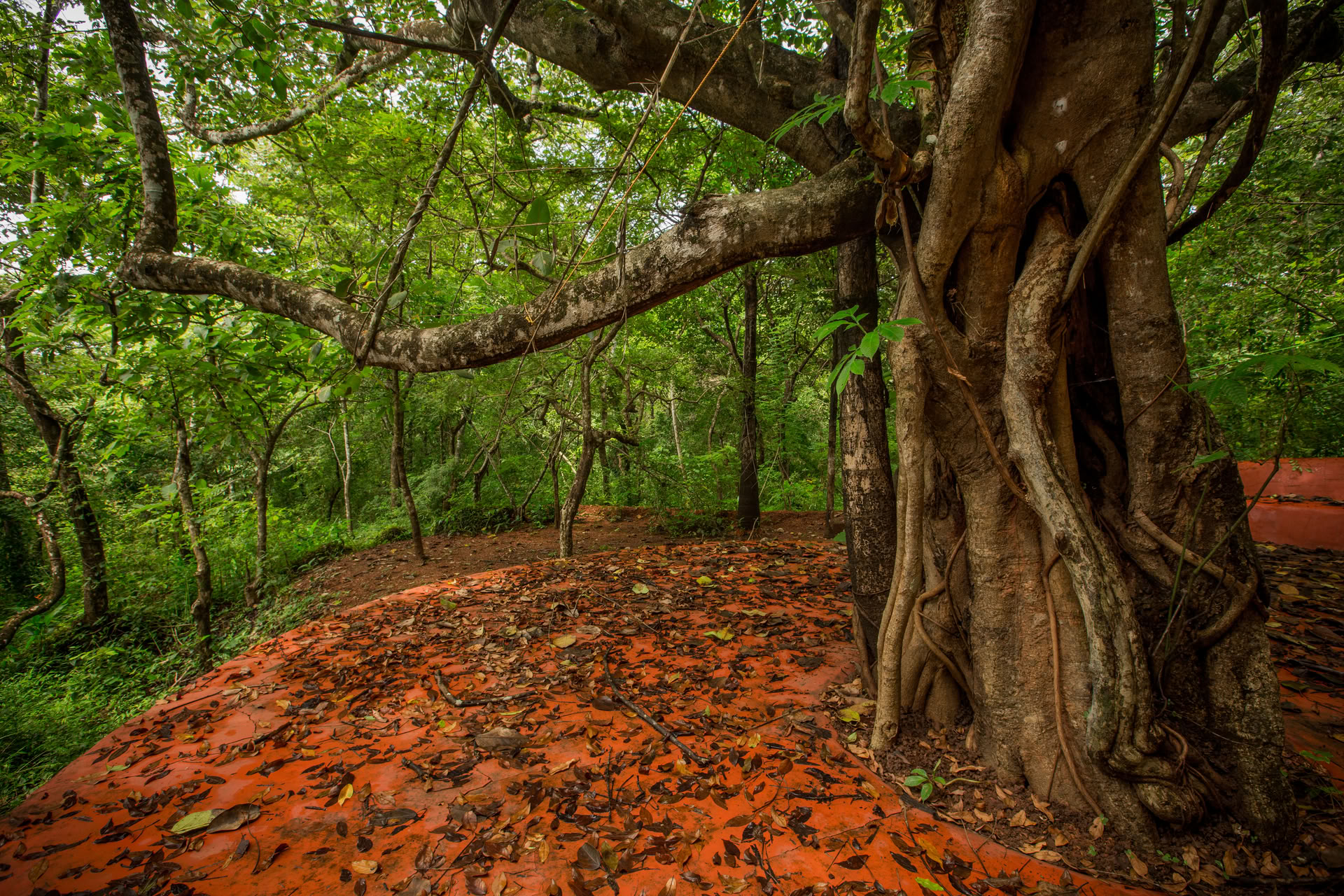 Saundarya Yoga-retreat