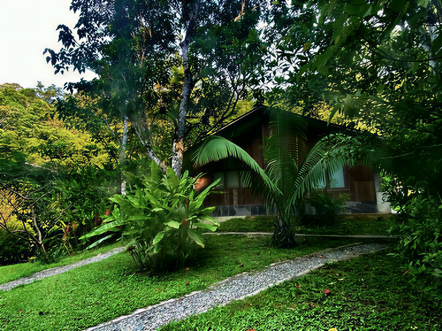 8-dagarsretreat