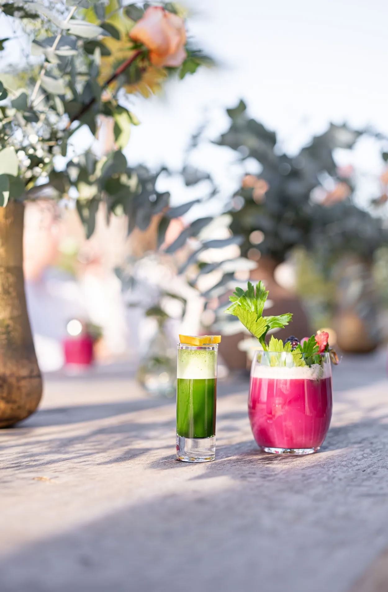 Detox Deluxe-retreat i oktober