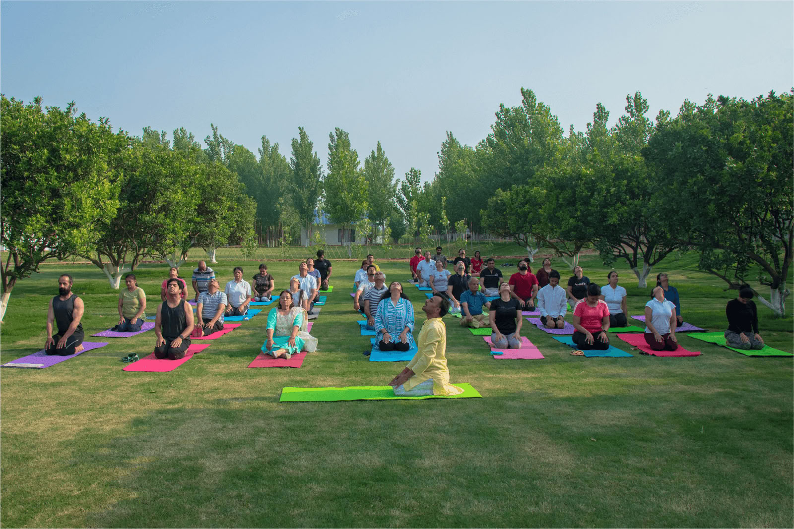 Yog-Vipassana-retreat i juli 2026