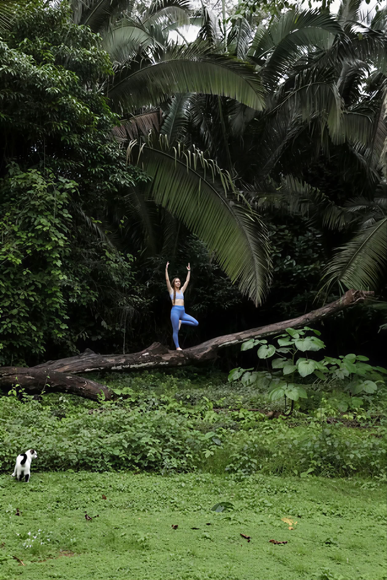 Yoga-retreat i regnskogen
