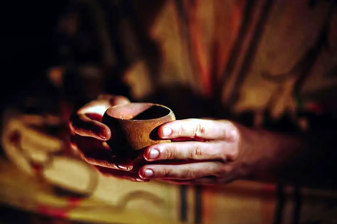 Ayahuasca-retreat för gaypersoner och HBTQ-personer