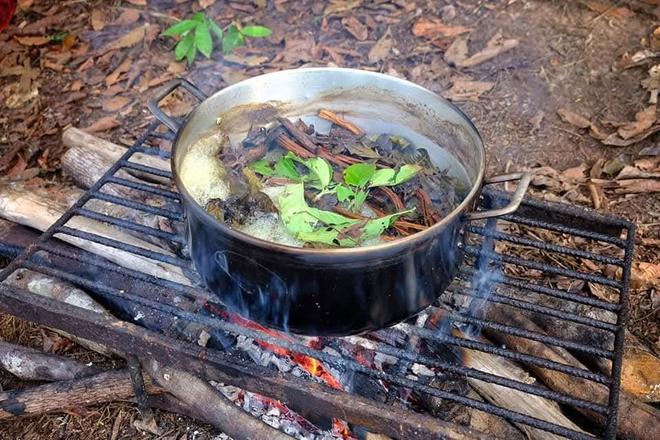 7 dagars ayahuascaretreat i Iquitos, Peru