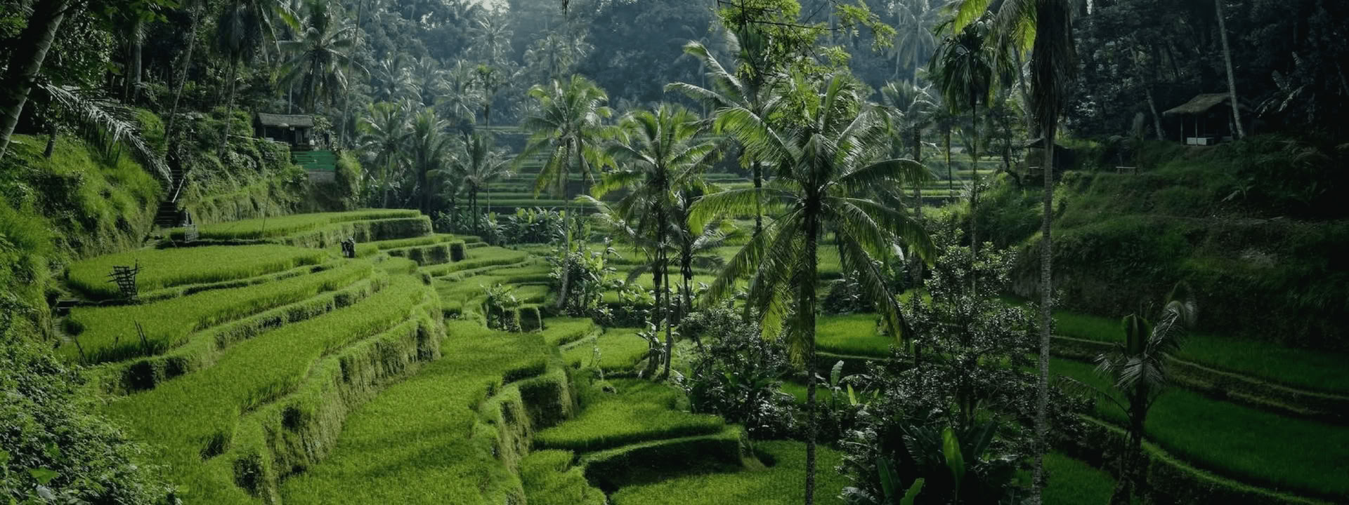 Bali-bunden: Resa till inre frid