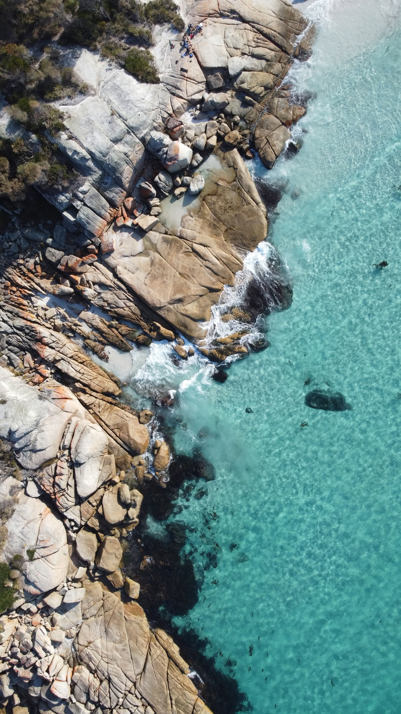 Tasmanien, yoga och vandring