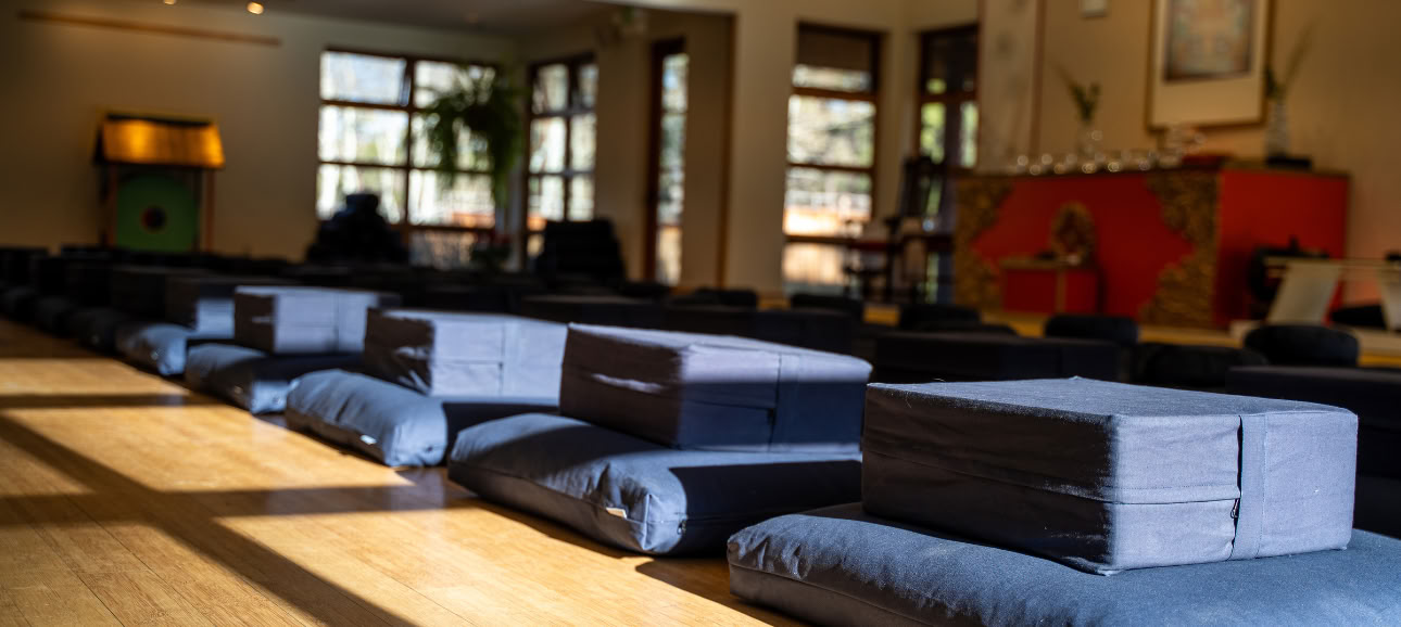Fred och frihet: en veckolång meditationsretreat