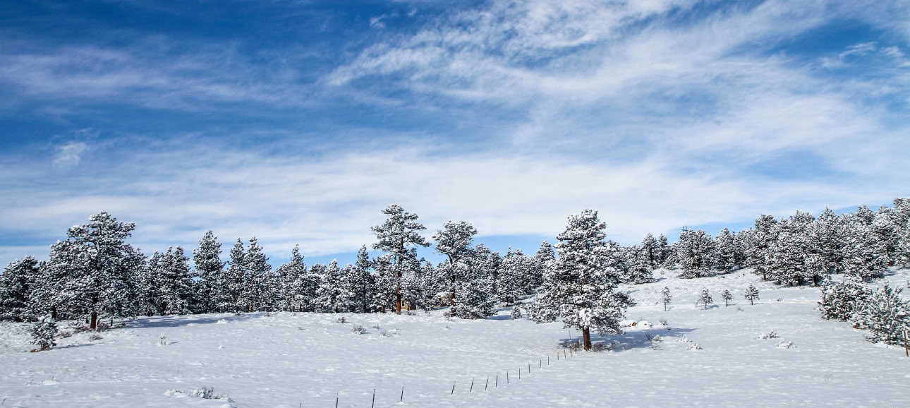 Att finna lugn och insikt genom andningen: en guidad meditationsretreat