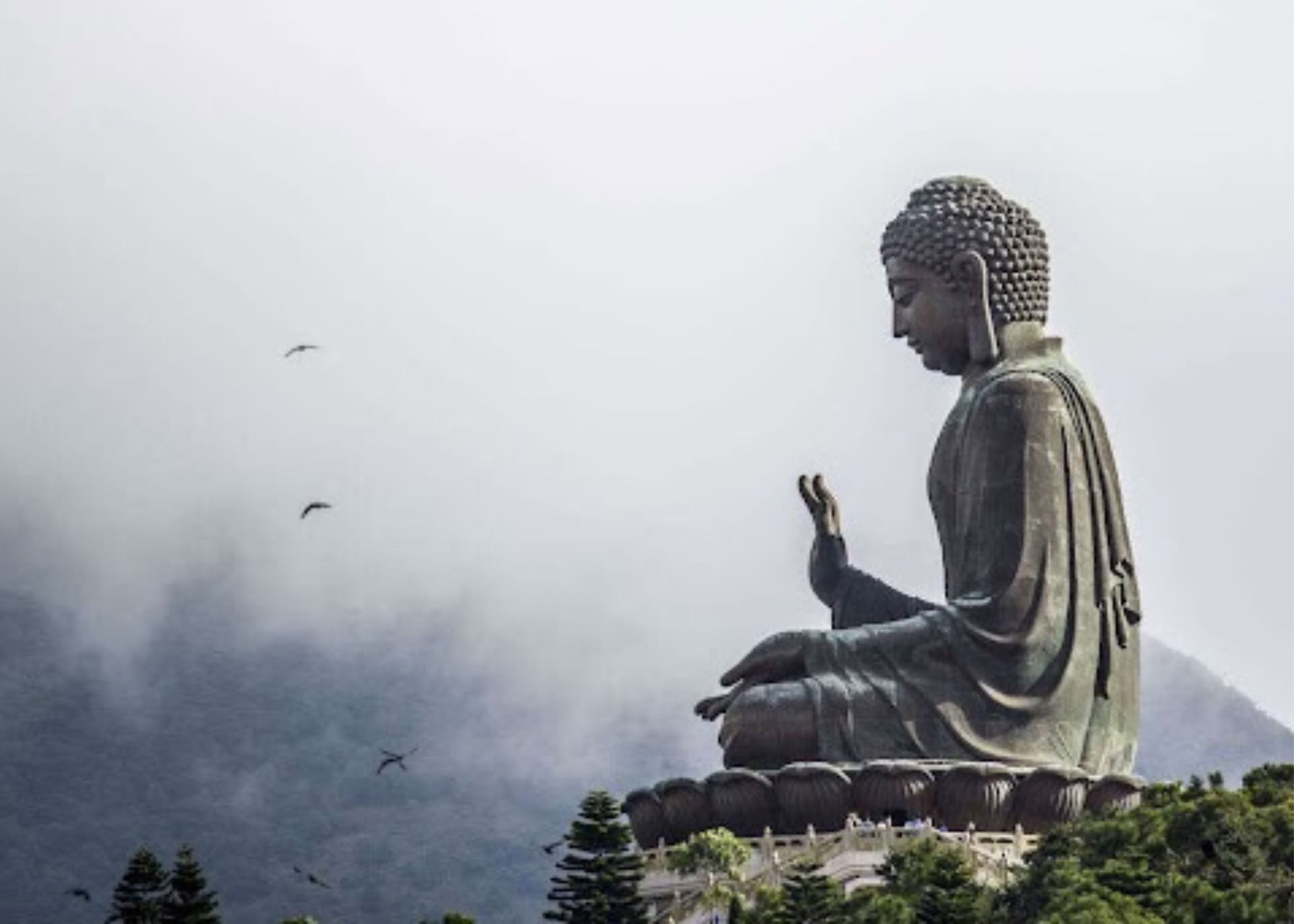 Meditationens grunder II: Fördjupning på vägen | 2026