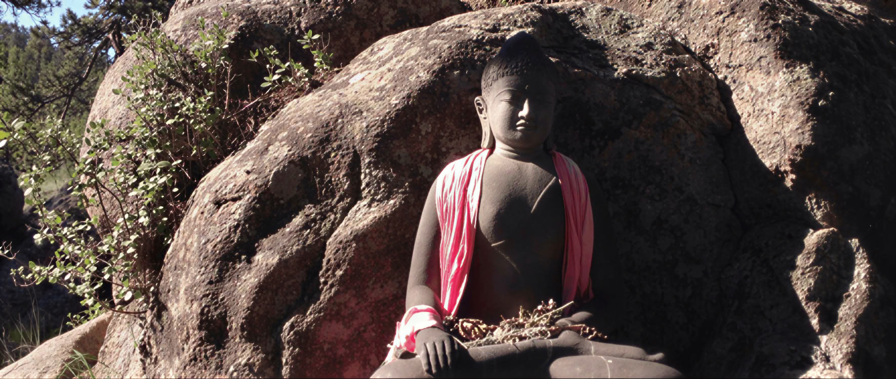 Att förkunna grundläggande sunt förnuft: att leva bodhisattvavägen