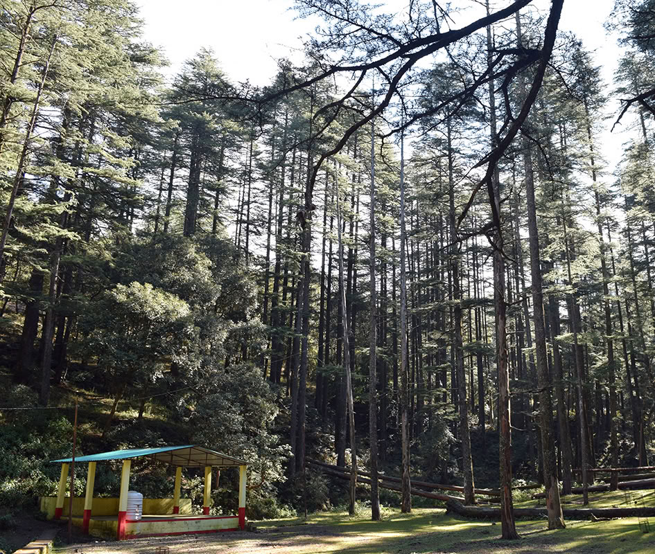 Tyst retreat