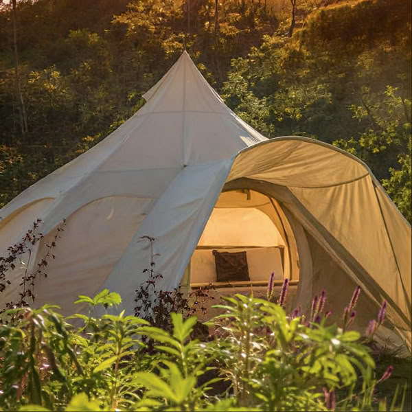 Intimt ayahuasca-retreat