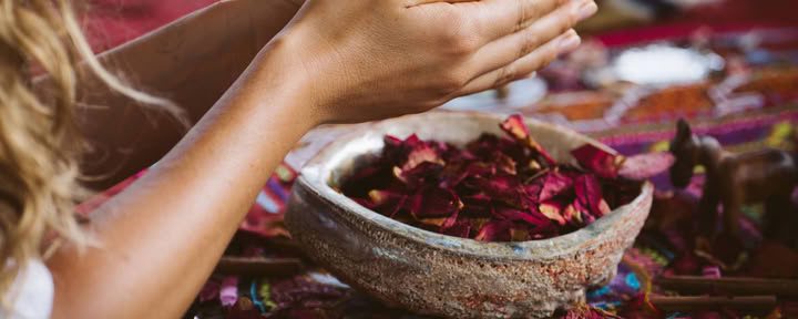 Intimt ayahuasca-retreat
