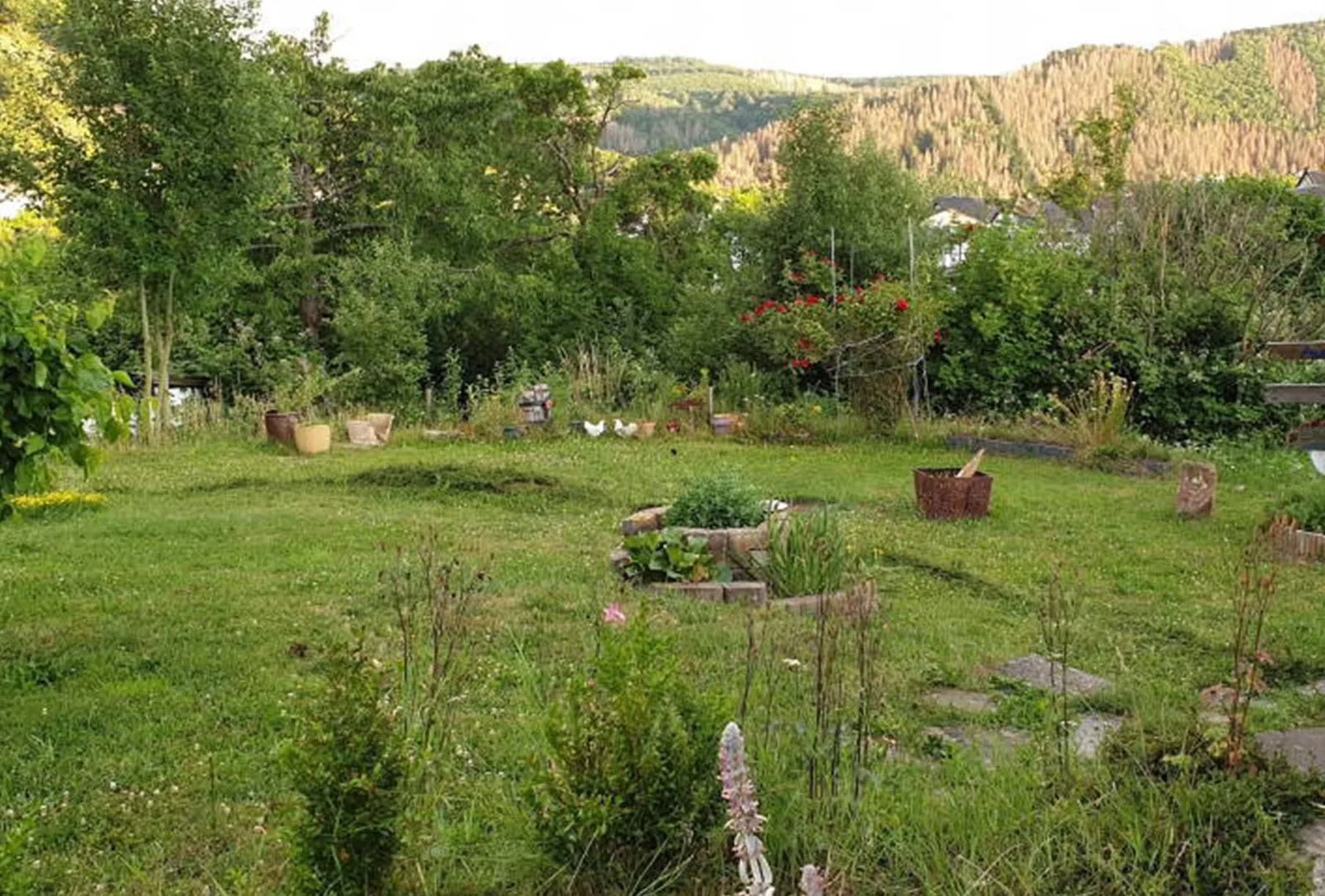 6-dagars yogaretreat i Heimbach, Eifel — maj 2026