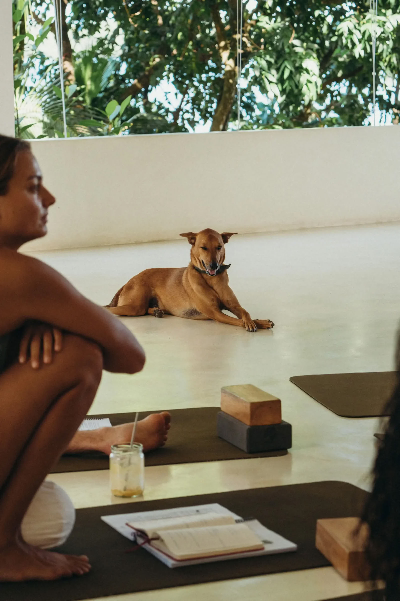 Synergi Vinyasa-yogaretreat på Lanka Yoga