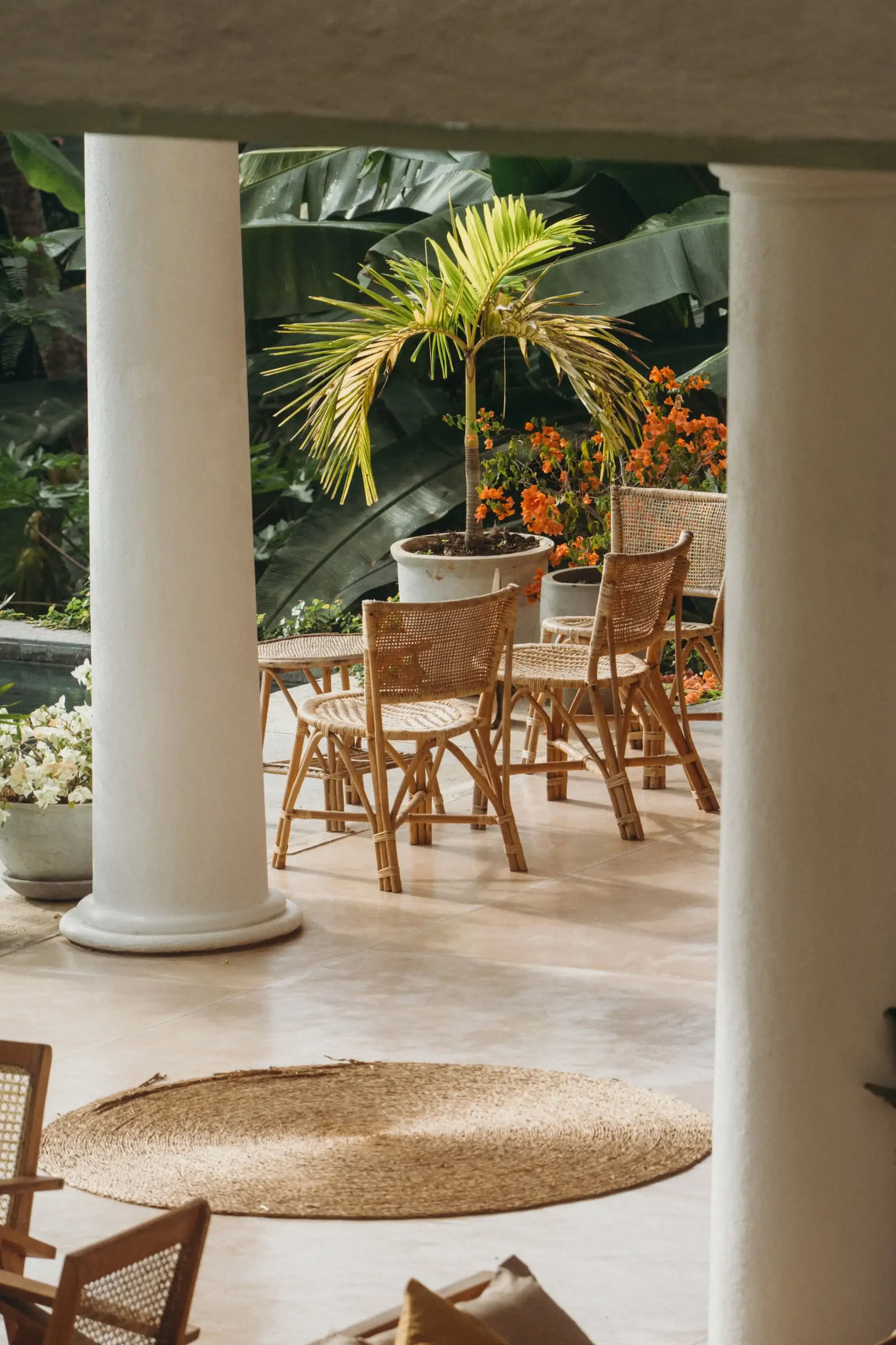 Återställande yogaretreat på Sri Lanka