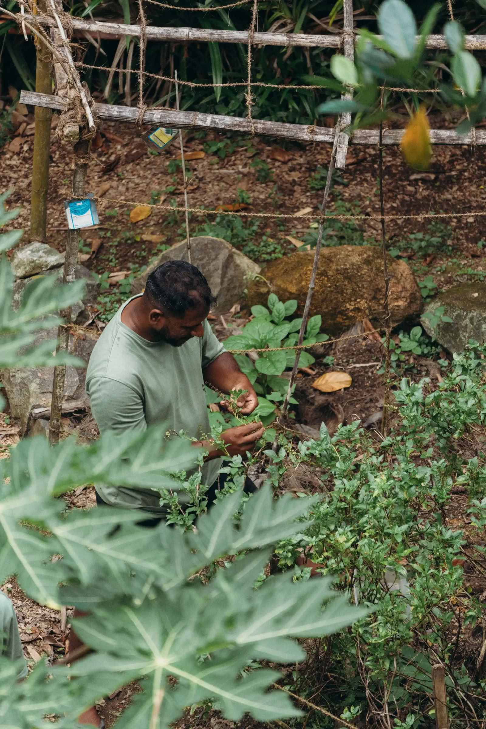 Återställande yogaretreat på Sri Lanka