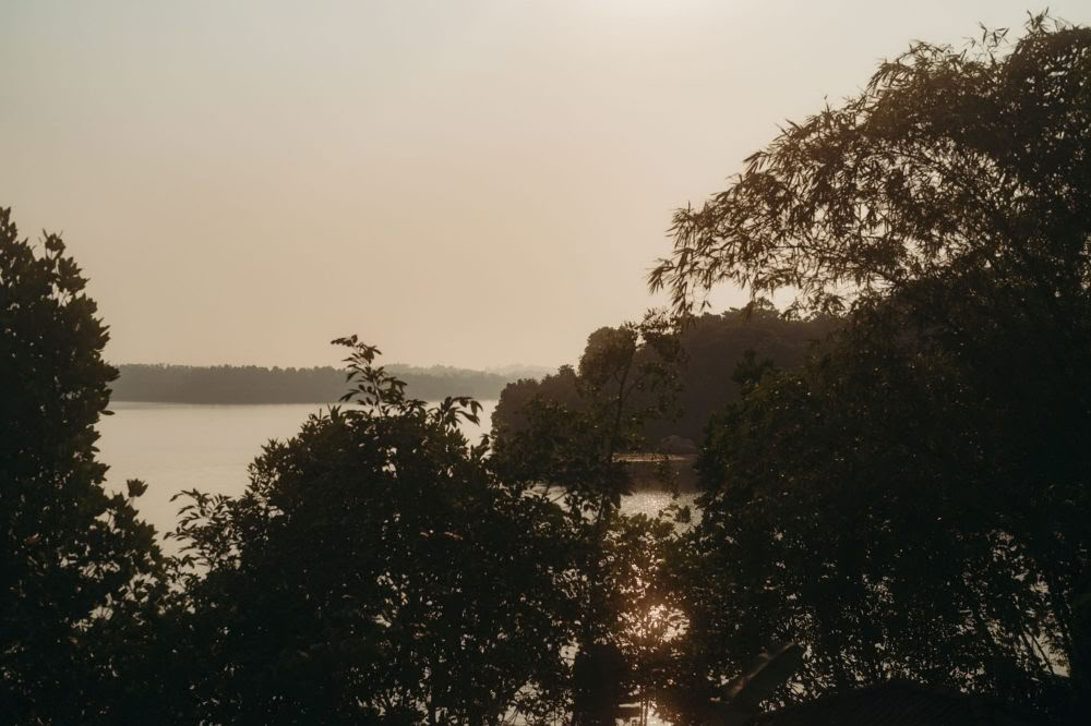 200-timmars Synergy Vinyasa-yogalärarutbildning – september 2026