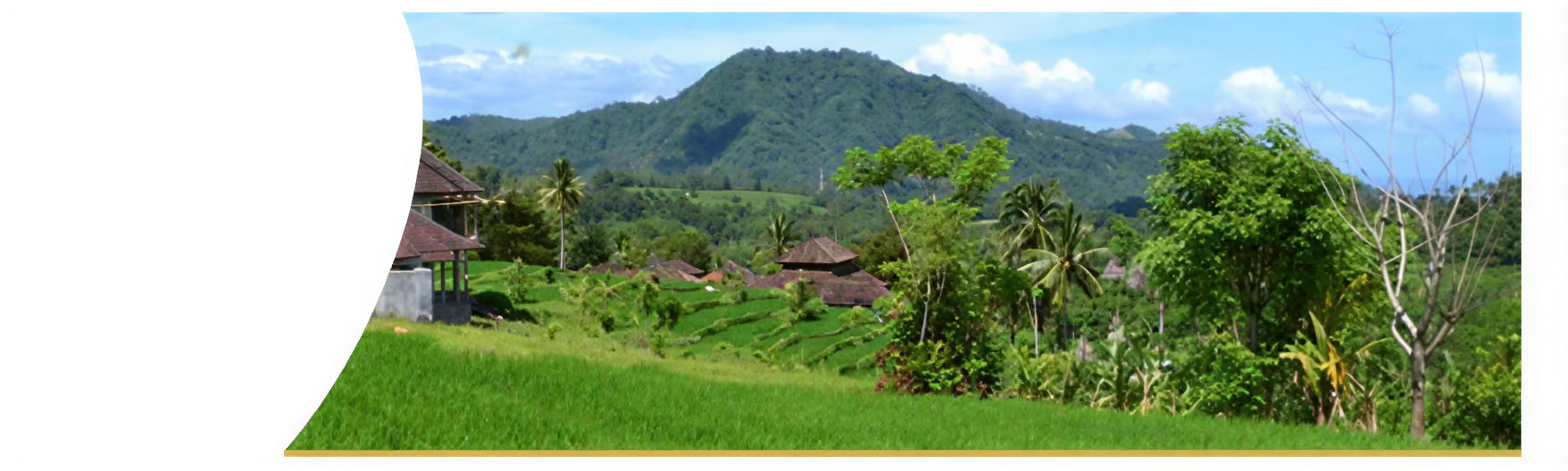 Helande vecka på Bali